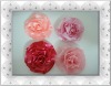 Wholesale Fashion Handmade Shoe Flowers