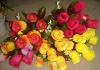Wholesale vivid artificial silk flowers(6242)