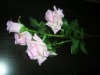 Wholesale flower