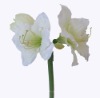 Wholesale Plastic flower of amaryllis