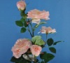 Wholesale pink rose flower