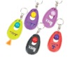 key chain flashlight