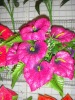 Wholesale decoration calla flowers bunch