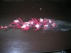 Wholesale flower