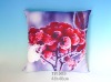 Wholesale Decorative Sofa Pillowcase (Natural style)