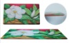 Wholesale Place mat & coaster(2PM6026)