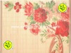 Panda Brand printed bamboo placemats and coasters