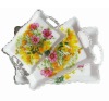 Acrylic tray/plastic tray/tray