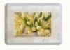 Wholesale 11-18'' Promotioanal Tray