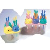 Wholesale plastic ice mould