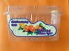 Wholesale PET/PVC plastic fruit container