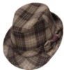 fedora hat, cowboy hat,gentleman hat