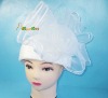 China Hot Sale Fashion Lady's Hat Ladies Fashion Hats Hat and Cap