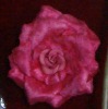 Wholesale silk rose