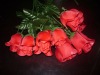 Wholesale natural Red Rose Silk Garlands,high quality and cheap price