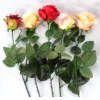 Wholesale Silk Rose (High Quality)