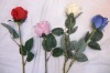 Wholesale Silk single rose