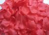 Wholesale silk petals (X-2010)