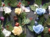 Wholesale Artificial Rose