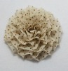 Wholesale adult silk rose flower