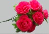 Wholesale best rose