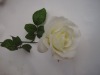 Wholesale Artificial Roses