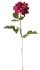 28"VALETINE'S DAY FLOWER OPEN ROSE X 1 FLW