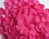 Wholesale silk petals (X-2011)