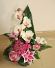 Wholesale plaleanopsis orchid lily rose leaf mixed bush