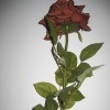 Wholesale SILK ROSE CD_0041