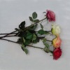 Wholesale Silk Rose