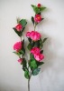 Wholesale rose flower