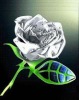 Wholesale Colorful crystal rose flower