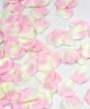Wholesale wedding favor (X-2092)