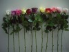Wholesale Artificial rose