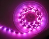 12v Christmas light