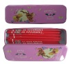 Wholesale Metal School Pencil Box with carton pattern
