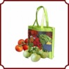 Wholesale PET non woven shopping bag