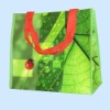 Wholesale 120 G pp non woven laminated shopping bag with PP woven handle