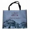 Wholesale non woven shopping bag