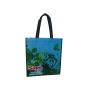 Wholesale 2011 New Fashion PP Non-woven Laminated Shopping Bag (Food Store)