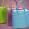 Wholesale Non-Woven Mini Shopping Bags