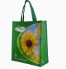 Wholesale PP non woven shopping bag