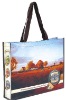 Wholesale PP Woven shopping bag