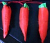 fashional vegetables shopping bag