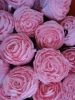 2011new pink rose bag nylon bag promotion bag shopping bag