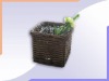 Wholesale Square Glass Vase/ Willow Basket