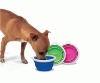 Wholesale foldable pet bowl with cover