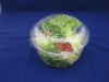 Wholesale plastic salad bowl