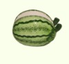 Wholesale Ceramic Watermelon Napkin Holder